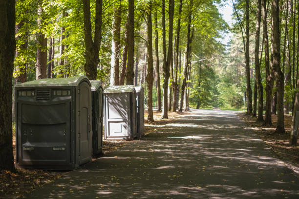 Best Porta potty for special events  in Williamstown, WV